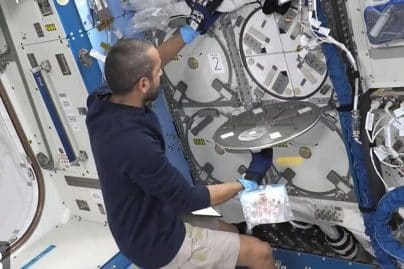 Sultan Al Neyadi does ‘stellar’ job for Saudi stem cell experiment in space