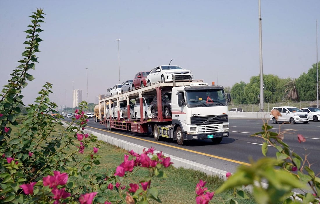 RTA-road-Nad-Al-Sheba-Reserve