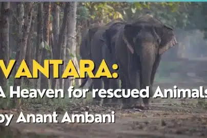 Reliance Foundation unveils Vantara, pioneering India’s Animal Rescue & Conservation