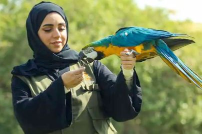 Al Ain Zoo celebrates World Veterinary Day