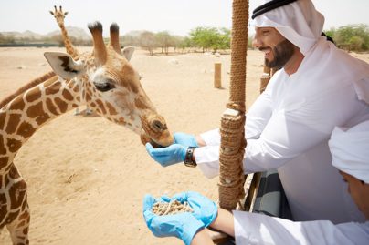 Al Ain Zoo grows 210+ tonnes of plant-based animal food yearly