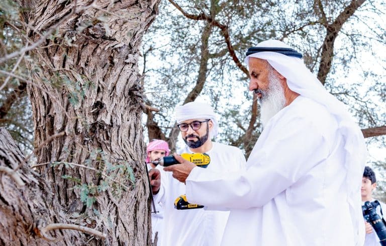 Tree Tagginglogging EAD expands its native tree-tagging programme - TheBrewNews.com