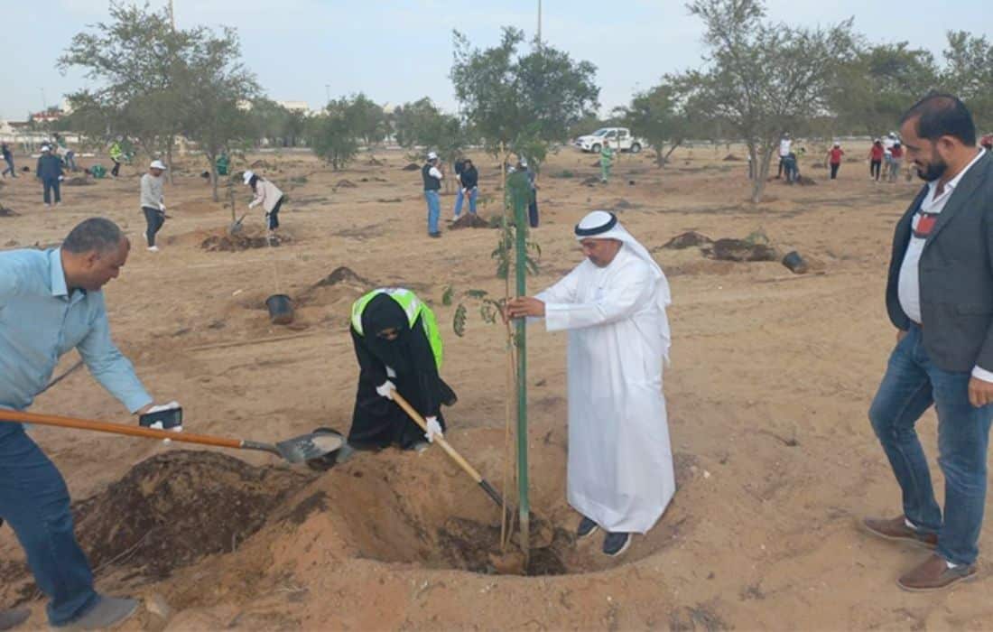 Abu Dhabi City Municipality plants 3,000 'Ghaf' tree seedlings