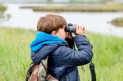 Bird watching helps students reduce stress and improve mental health