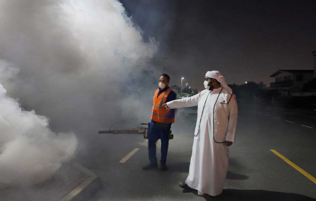 Dubai Municipality ramps up pest control adverse weather conditions