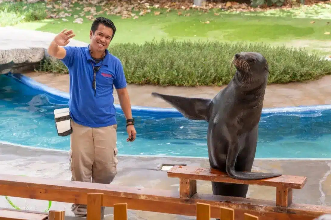 Emirates Park Zoo & Resort showcases commitment to sustainable tourism at Arabian Travel Market 2024