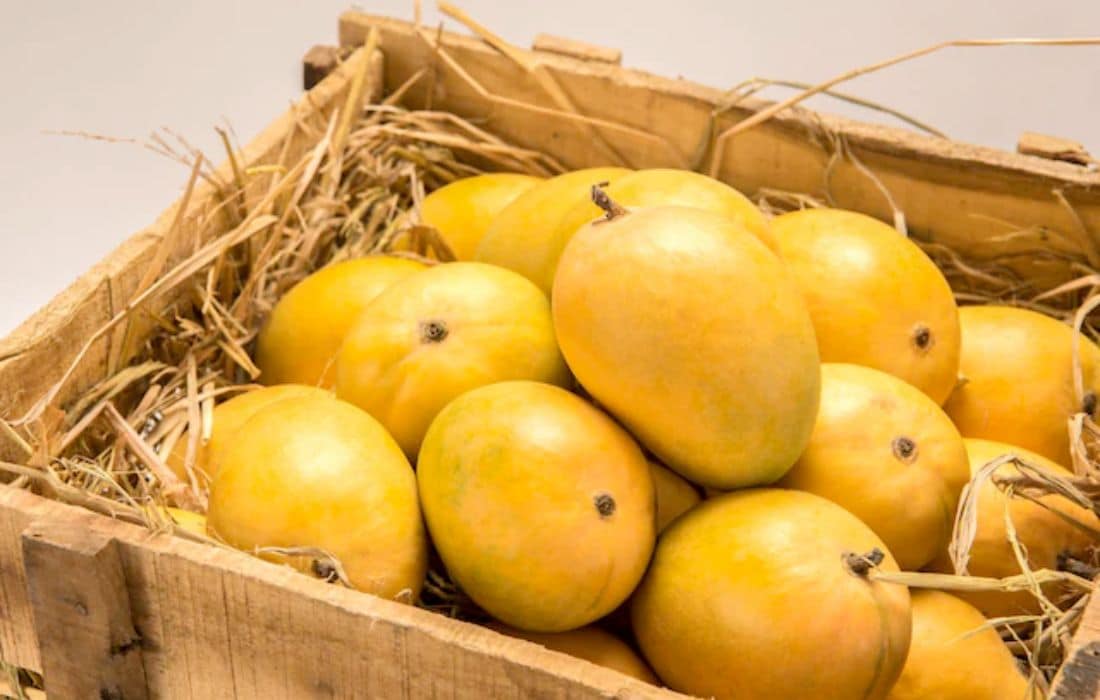 India cautions against hazardous artificial fruit ripening