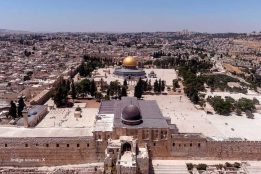 Muslim Council of Elders strongly condemns Israeli occupation's storming of Al-Aqsa Mosque