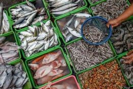 UAE is now India's 9th largest seafood export market by ranking