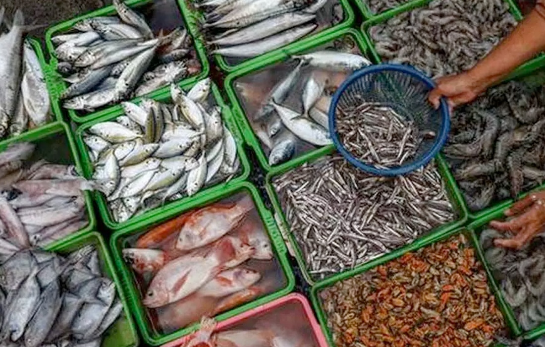 UAE is India's 9th largest seafood export market by ranking