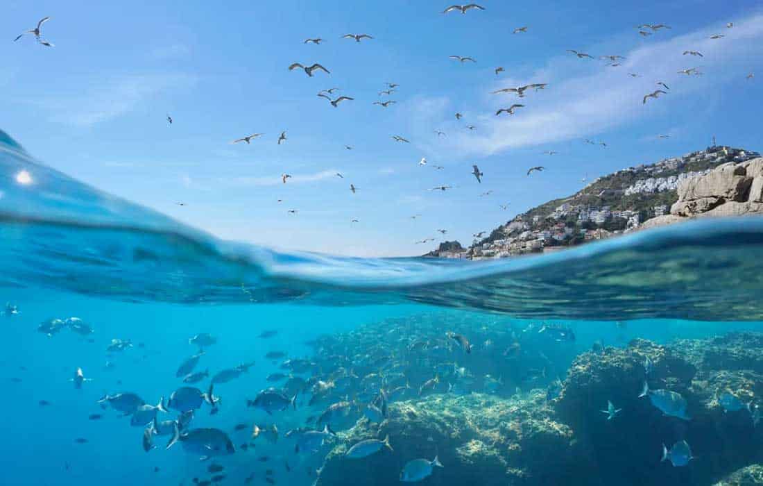 UN calls on world to come together in defense of oceans