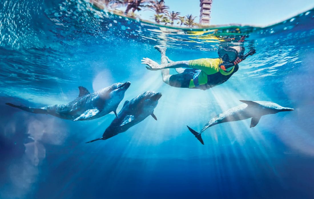 Dubai Destinations summer season