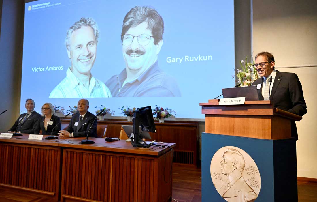 2024 Nobel prizes announced this week