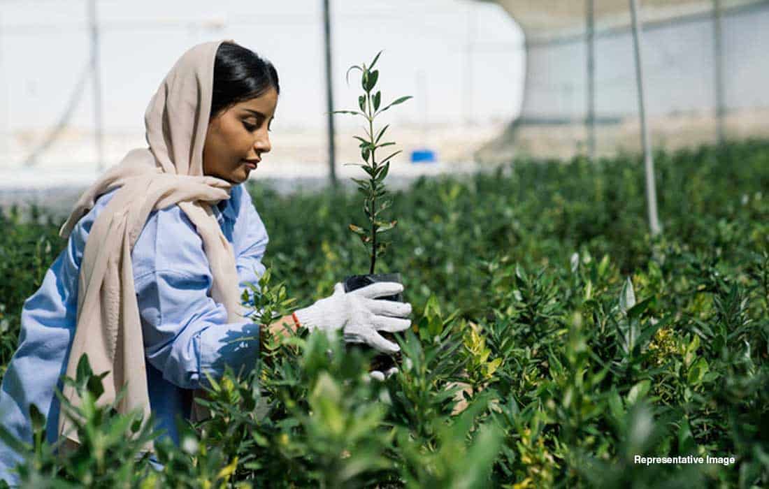 Arab League marks Arab Environment Day, highlights resource depletion concerns