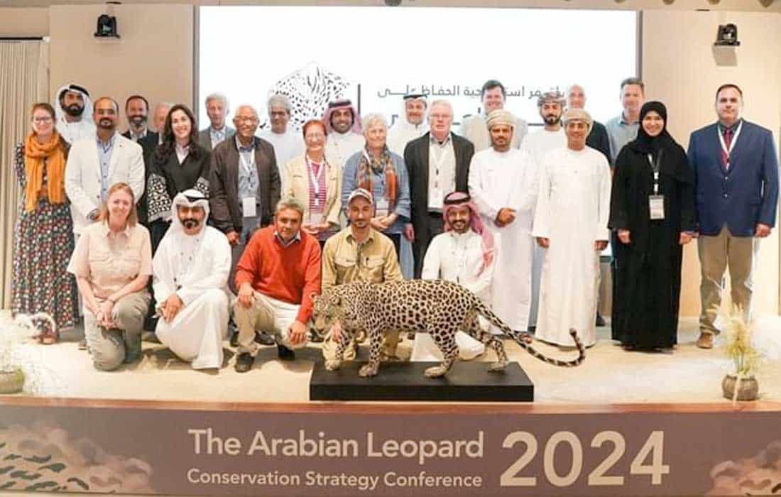 Arabian Leopard Conference adopts conservation strategy
