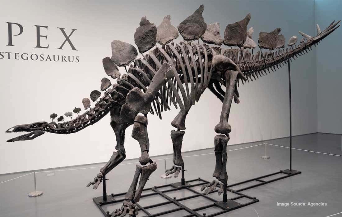 How private fossil sales affect palaeontology research efforts