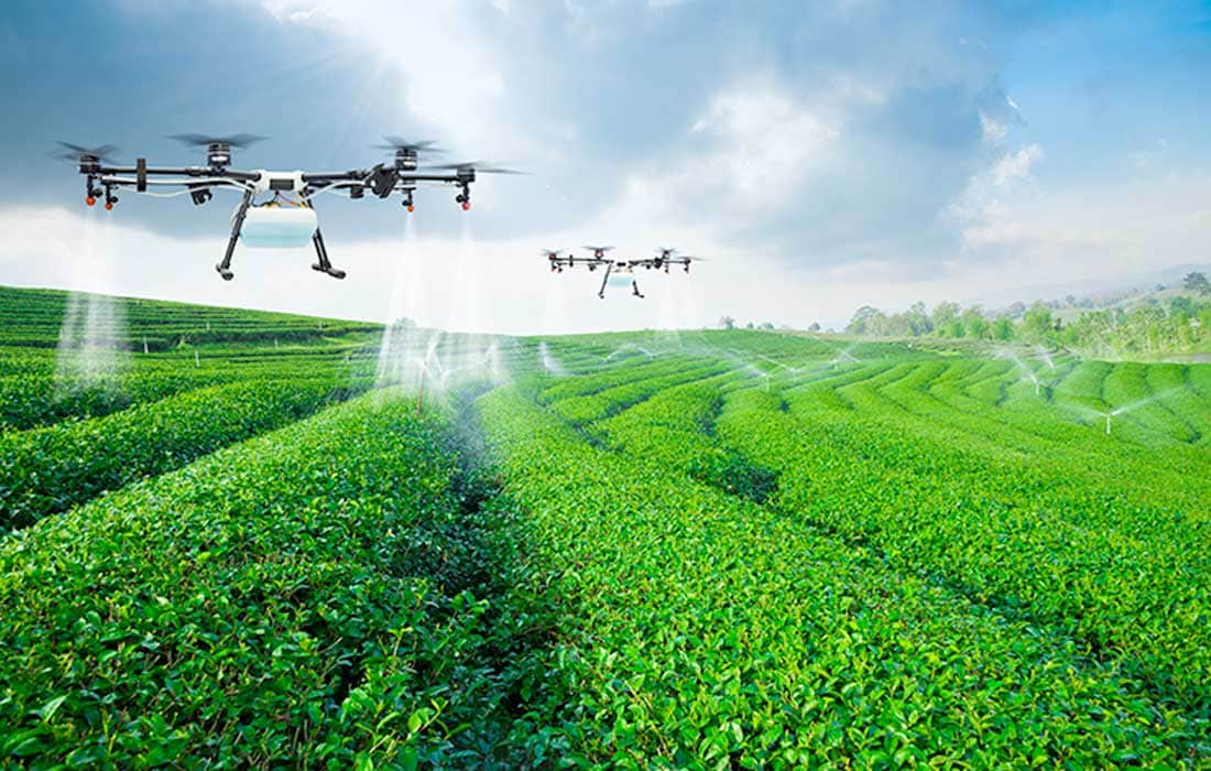 'Plant the Emirates' initiative stressed for sustainable food security