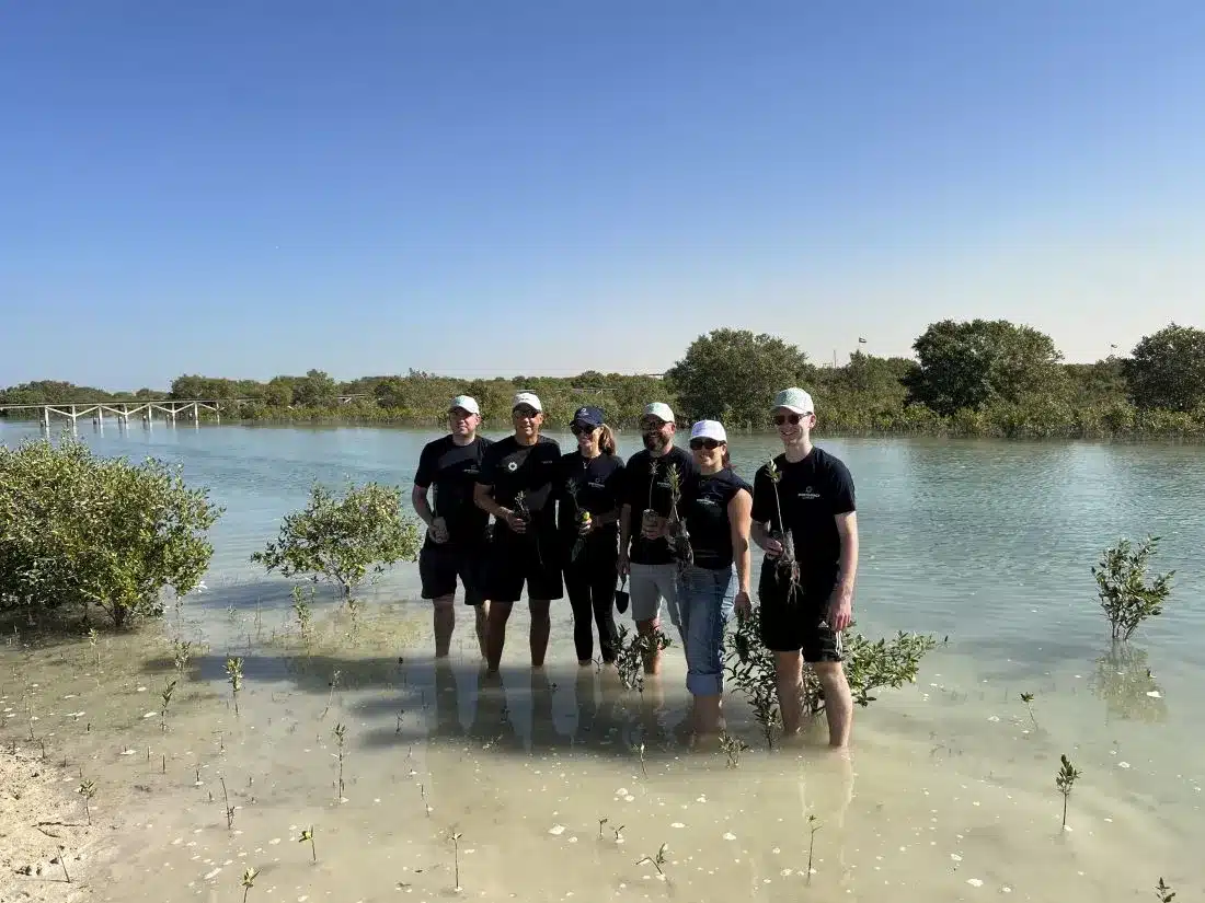 Mangroves United unites the sports community to champion climate action through the restoration of mangrove ecosystems.