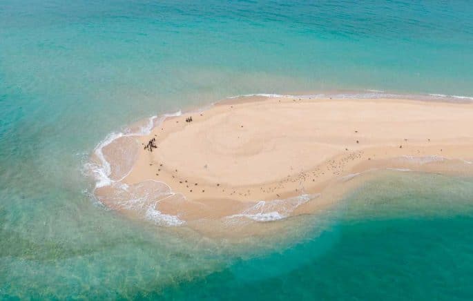 Sir Bu Nair Island in Sharjah joins IUCN Green List