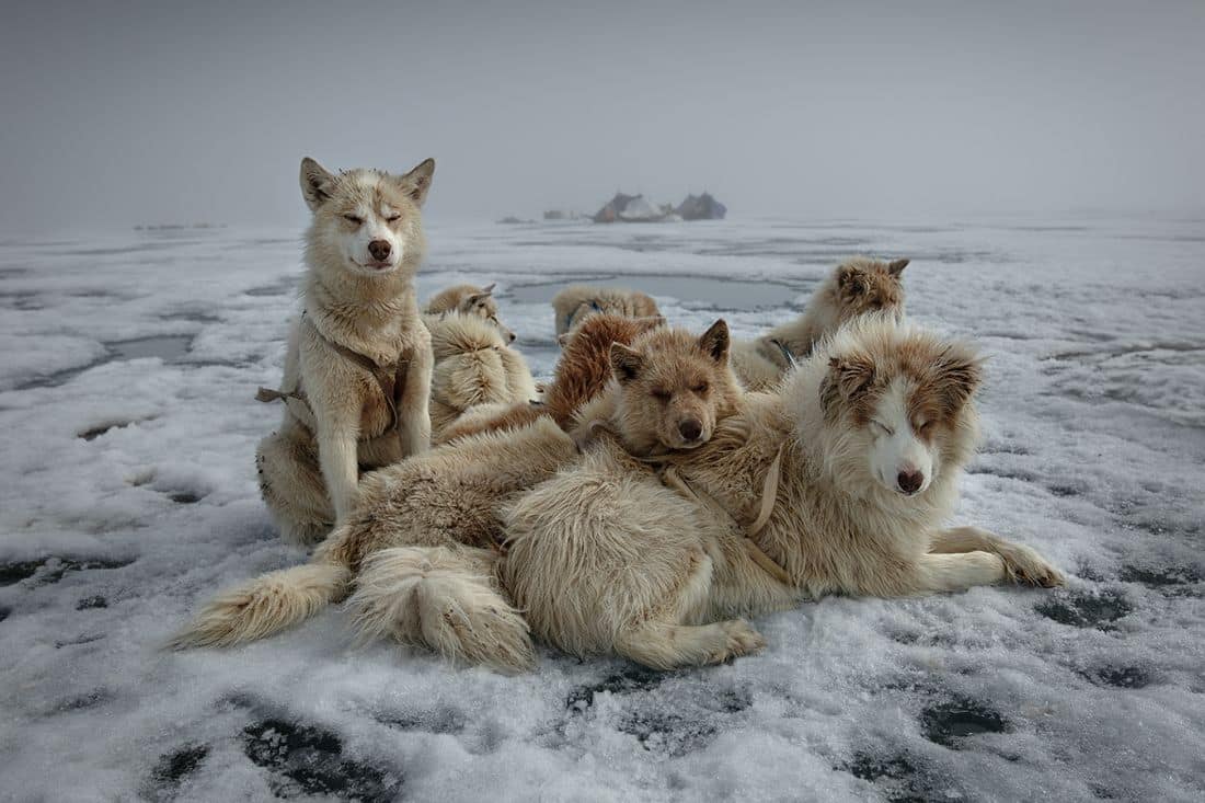 Sebastian Copeland- Xposure 2025 to showcase visual storytelling and AED12M worth of art