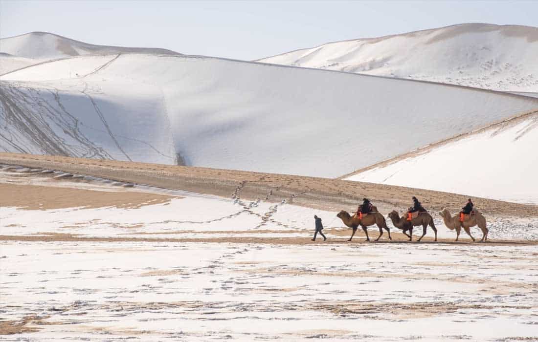 Frost-resistant sand-control tech tackles cold desert erosion