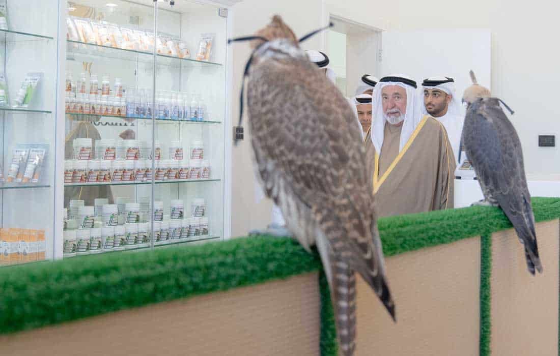 Sharjah Falconers Club opens to preserve falconry heritage