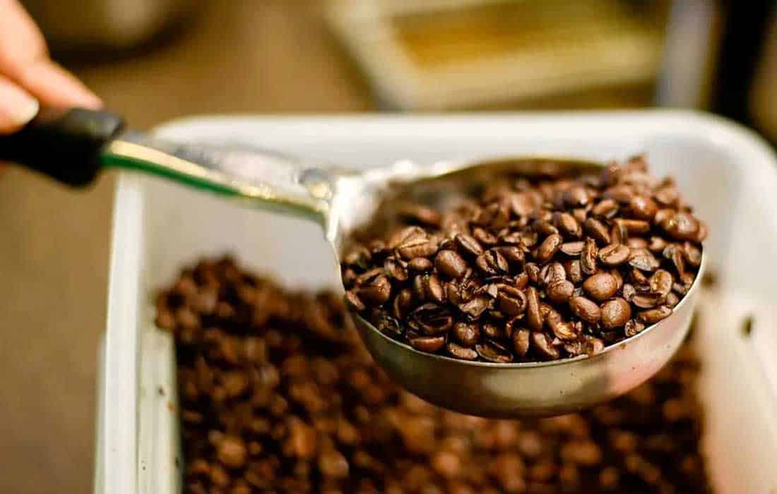 Coffee export prices may increase in 2025