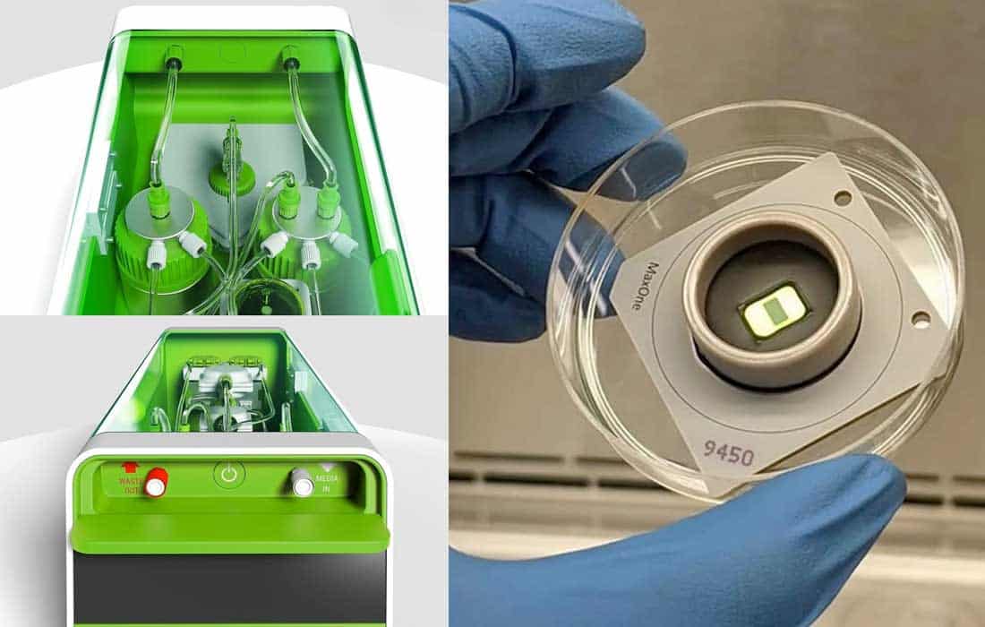 CL1: first biological computer fuses brain cells with AI