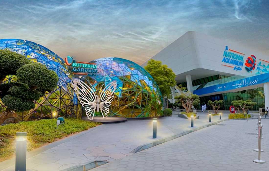 Butterfly Gardens Abu Dhabi Opening Soon