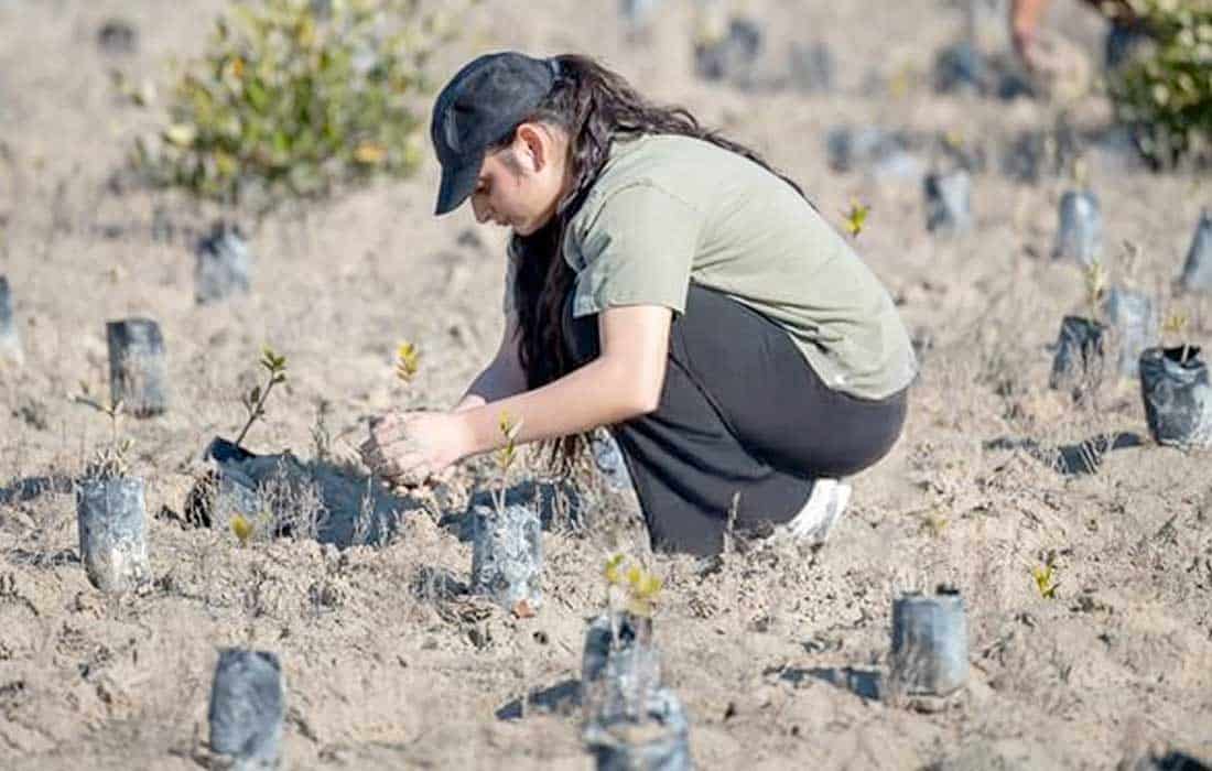 UAE launches 5-year citizen science UAE strategy