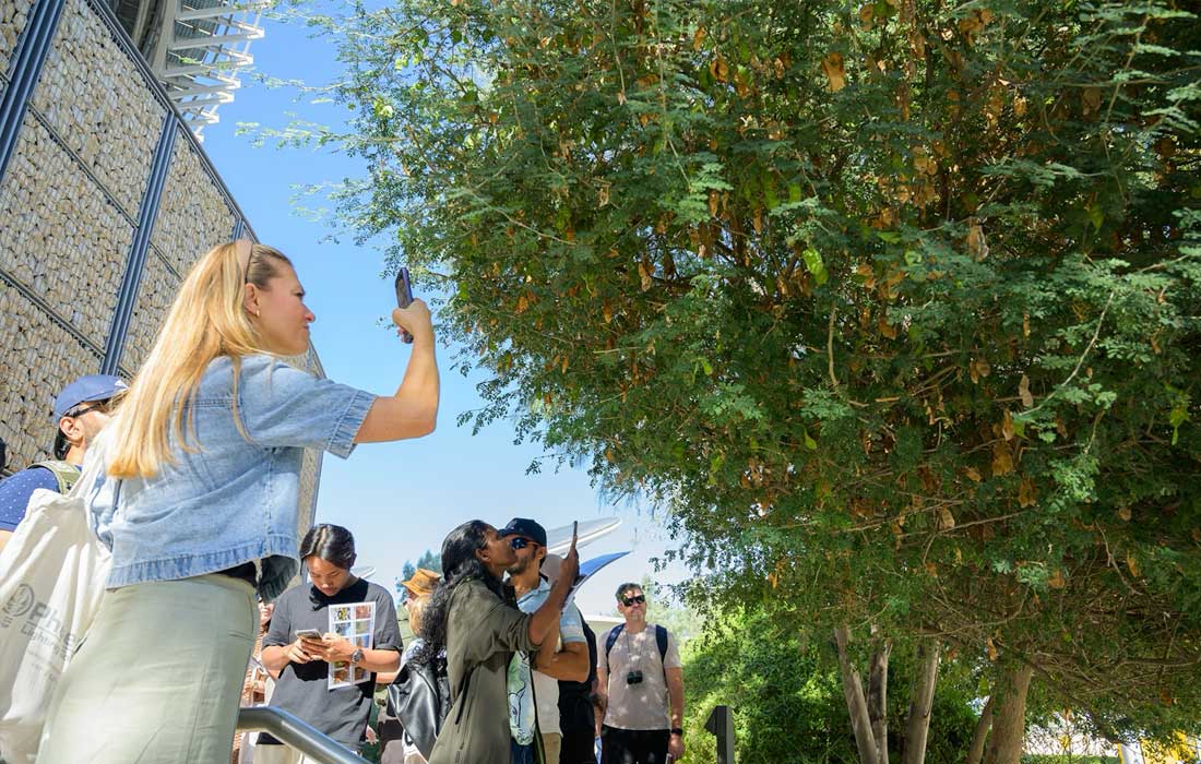 Earth Day UAE 2024: Dubai joins global nature challenge