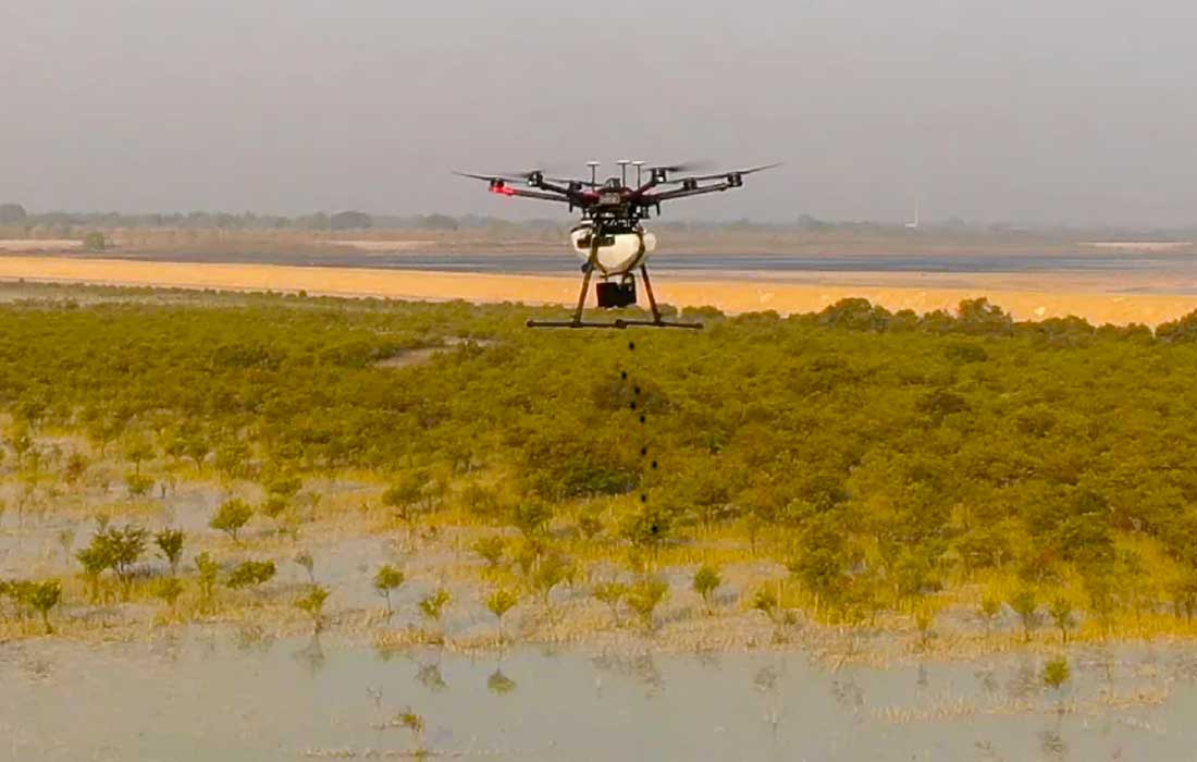 Abu Dhabi seed dispersal project uses drones to plant 6.5 million native seeds and protect natural areas.