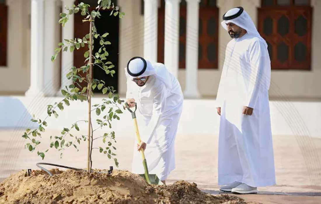 Regreening UAE mosques begins with 10,000 trees planted
