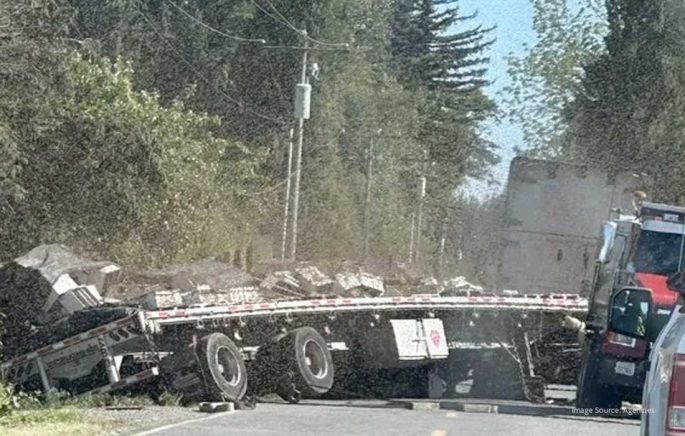 250 million honeybees escape after truck crash