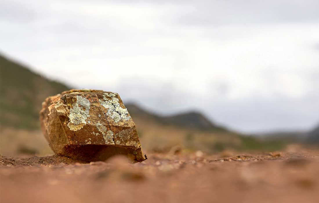 China makes new rare earth discovery
