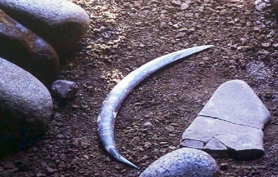World’s oldest boomerang found in Poland