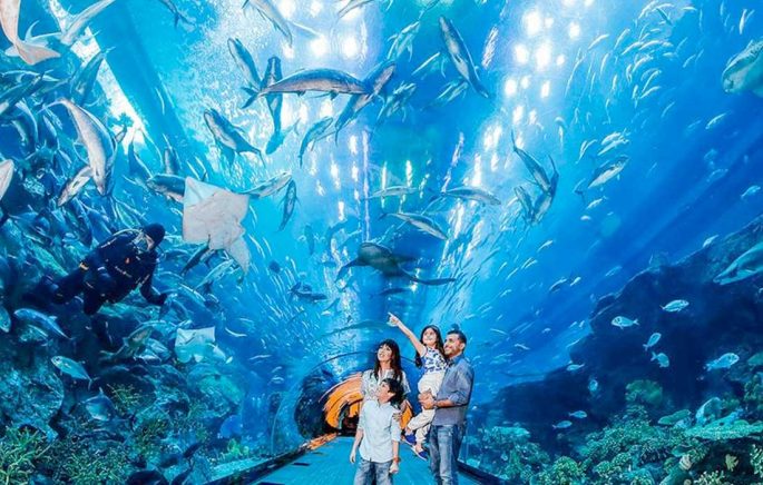 ids-special-5-fun-places-visit-Dubai-summer-Dubai-Aquarium-and-Underwater-Zoo