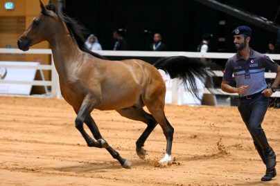 Abu Dhabi gears up for ADIHEX 2025, region’s largest heritage expo