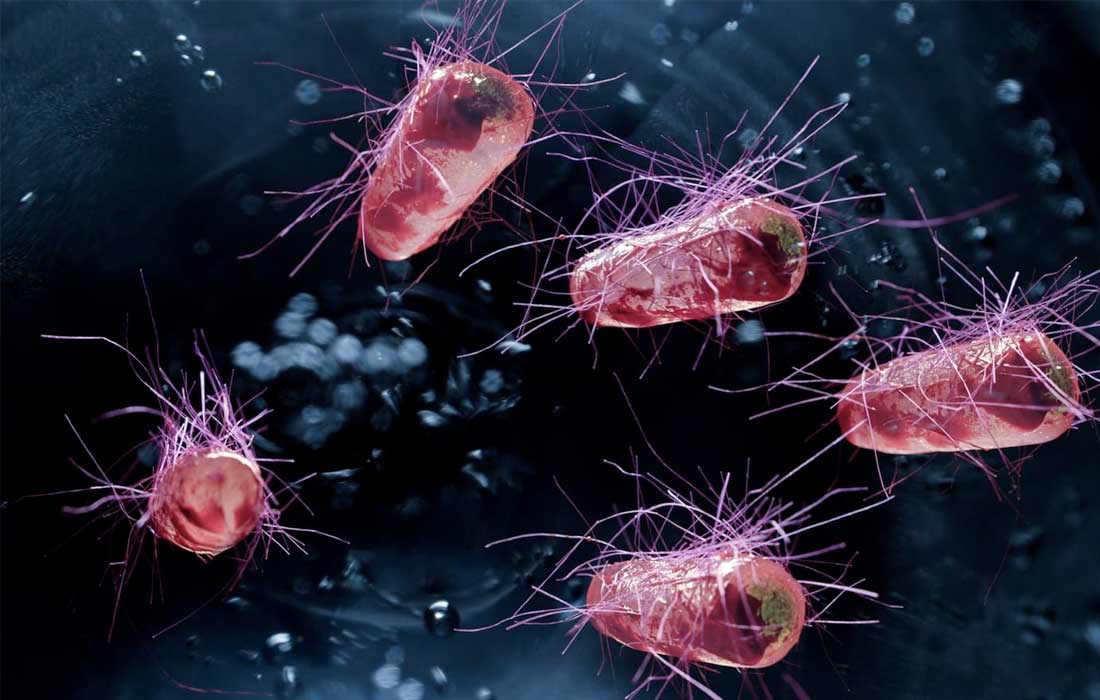 British scientists engineer genetically recoded bacteria Syn57
