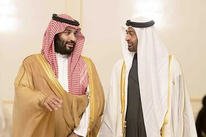 UAE President, Saudi Crown Prince discuss regional peace and joint efforts
