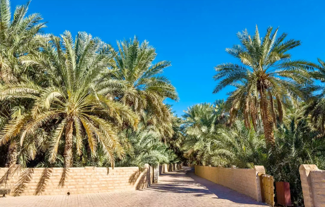 Al Ain named Capital of Arab Tourism for 2026