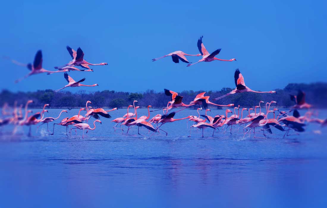 Ajman tourism attractions combine culture and nature