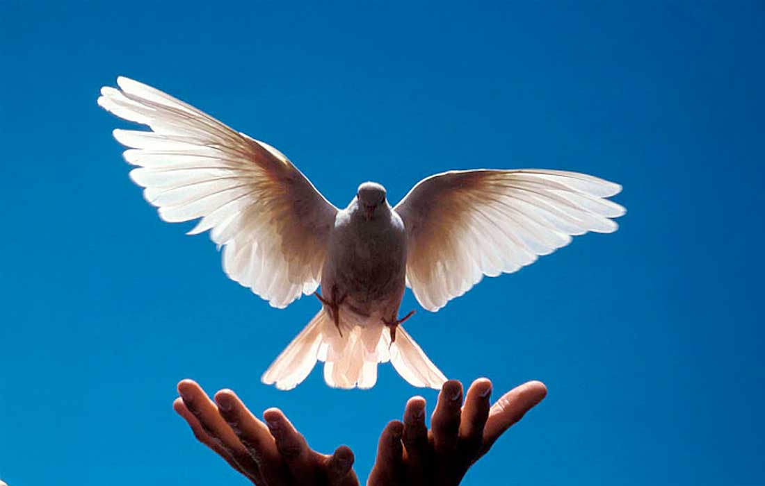 UAE Rulers pardon prisoners Ramadan