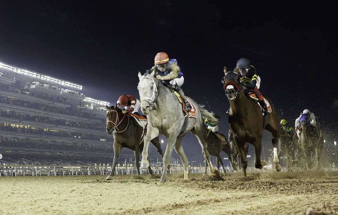 Dubai World Cup 2026 Meydan race card features $30.5 million prize pot