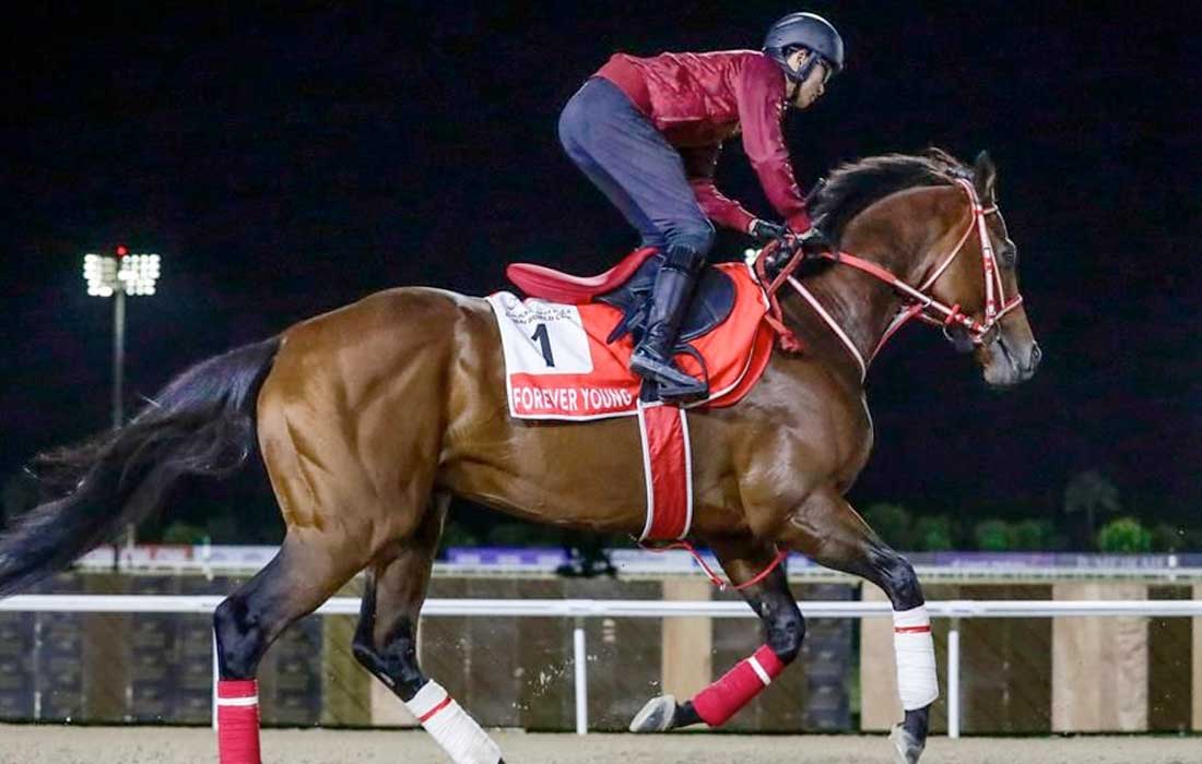 Forever Young Dubai World Cup 2026 bid to make racing history