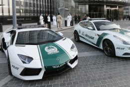 Dubai Police Arrest Eight-Member Gang in Illegal UAE Driving Licence Scam