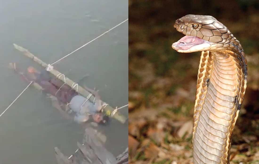 Teen dies after snakebite as family delays treatment for ritual
