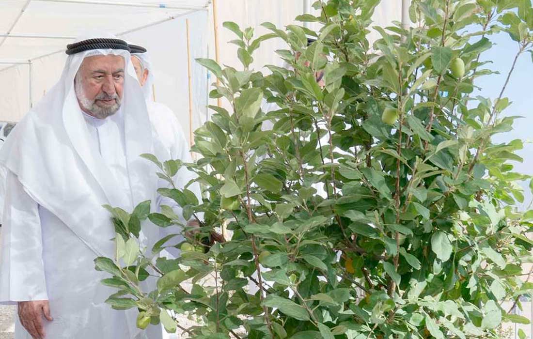 Sharjah establishes Wadi Al Qarha reserve