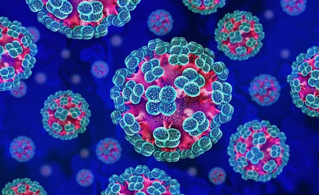 Hantavirus outbreak update sparks concern after cruise ship emergency