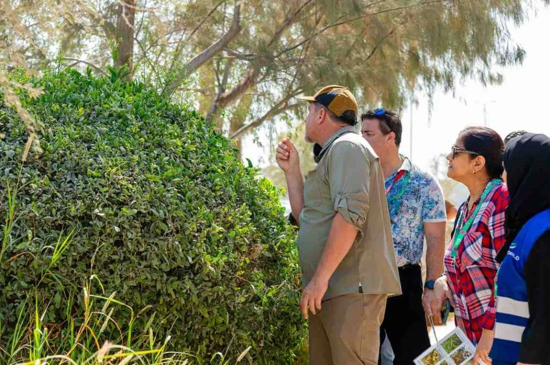 Terra launches student project to preserve family plant traditions across UAE